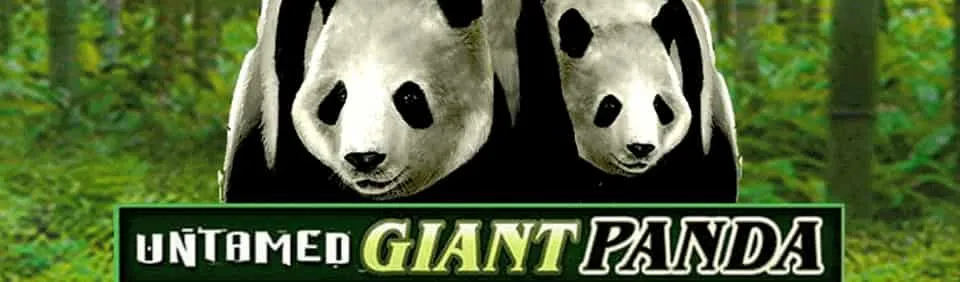 Untamed Giant Panda Slot Review 2023