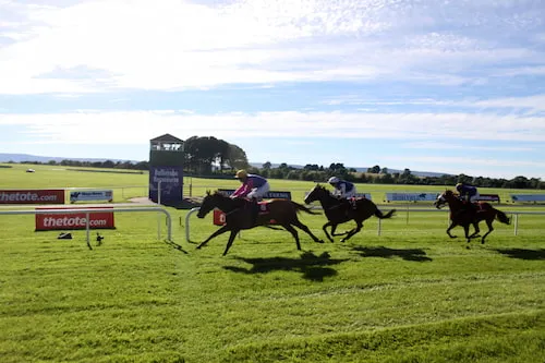 Horse race finish line Ballinrobe County Mayo Ireland photo finish