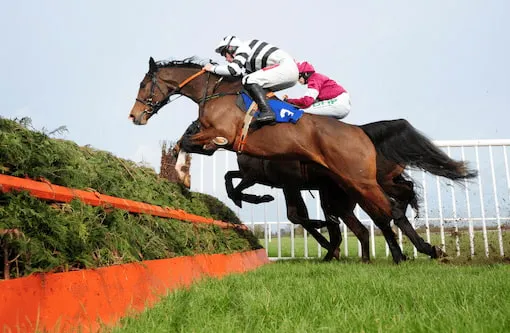 Ex Patriot ridden by Derek O'Connor (near) wins the Templemore Beginners Chase at Thurles Racecourse.