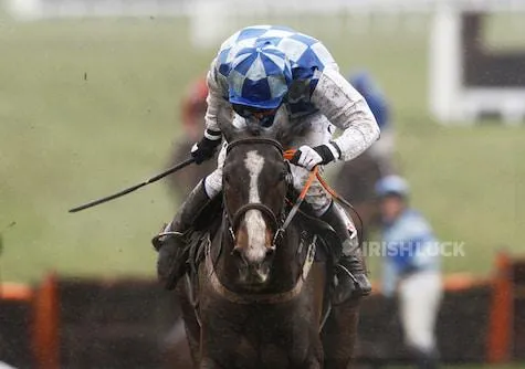 Horse Racing - Cheltenham Festival - Cheltenham Racecourse - 19/3/10 Berties Dream ridden by Andrew E Lynch wins the 2.40 The Albert Bartlett Novices' Hurdle