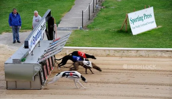 Departure of Greyhound racing, Shelbourne Park Greyhound Stadium, Dublin, Ireland