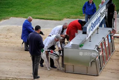 Departure of Greyhound racing, Shelbourne Park Greyhound Stadium, Dublin, Ireland