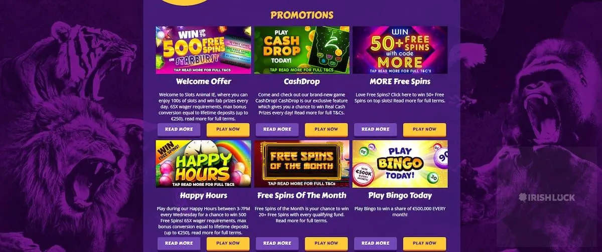 Slots animal casino promotions ireland win 500 free spins, play online bingo, happy hours, cash drop, 50+ free spins, play now irishluck