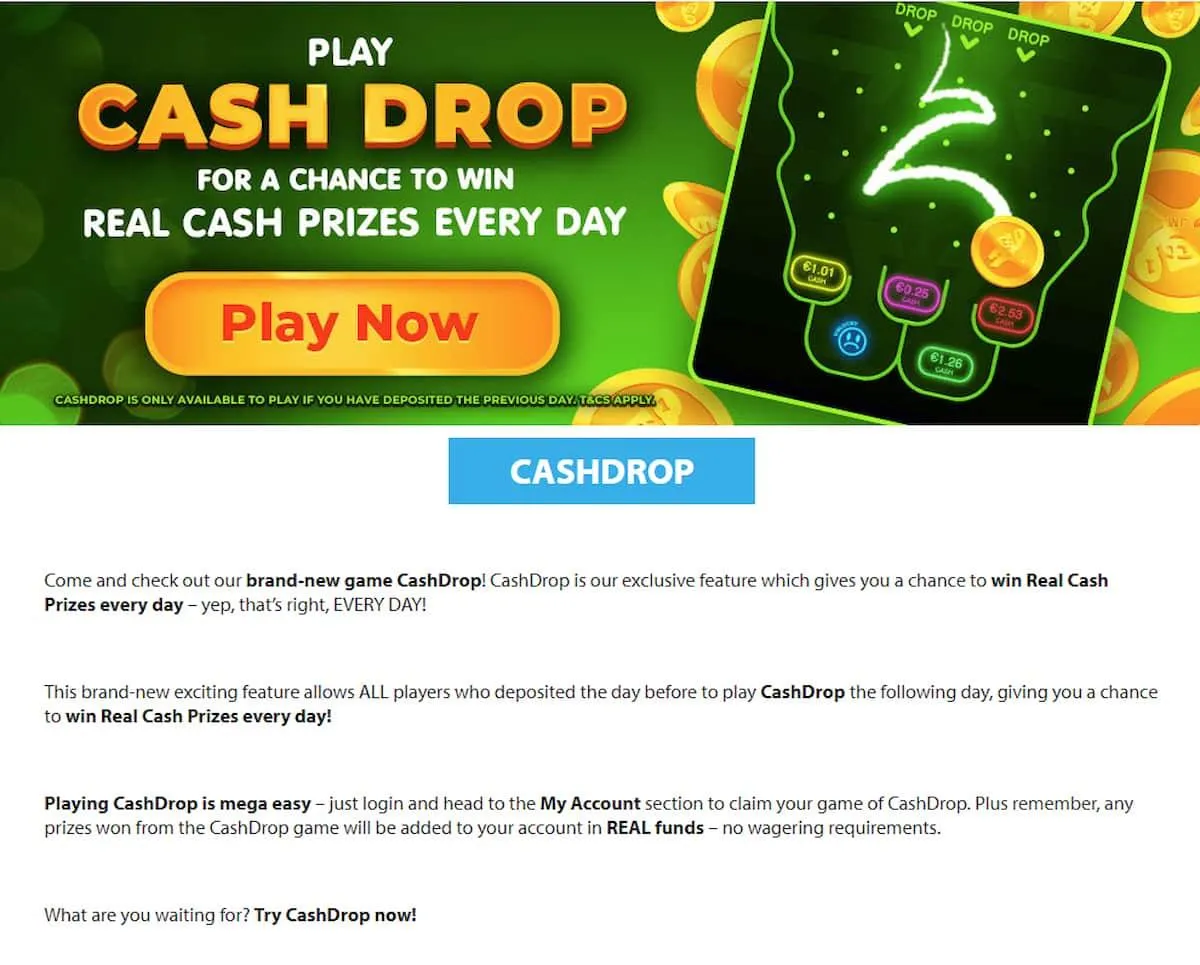 CashDrop Fever Bingo Promotion win money everyday play now
