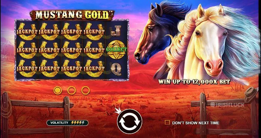 mustang gold pragmatic play online slot game jackpot symbols horseshoe symbols