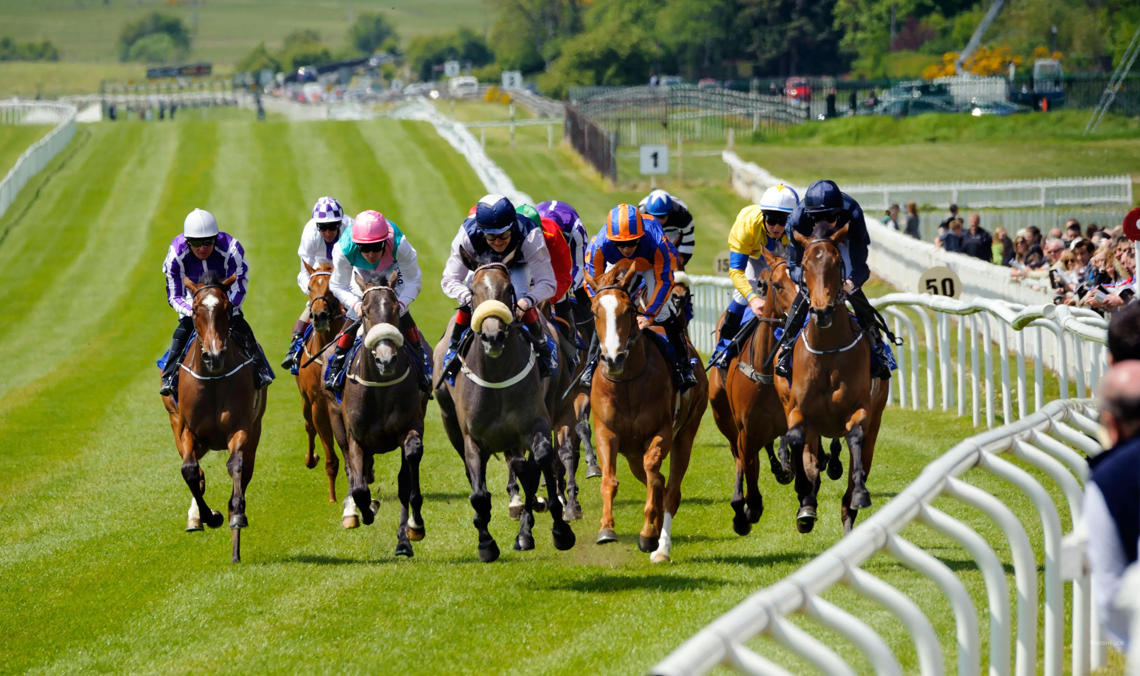 ireland horse racing controversial gambling bill irish horse racing betting