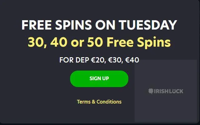 free spins lionspin casino free spins online casino bonuses ireland