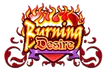Burning desire slot logo