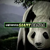 Untamed Giant Panda