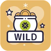 wild symbols in slot games