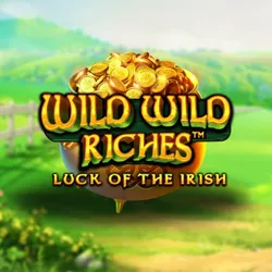 Image for Wild wild riches