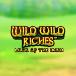 Image for Wild Wild Riches