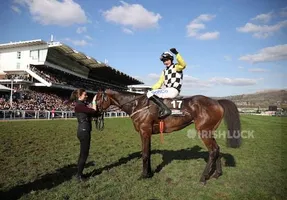 Horse Racing - Cheltenham Festival - Cheltenham Racecourse, Cheltenham, Britain - March 18, 2022 Sean O'Keeff celebrates on The Nice Guy after winning the 14:50 Albert Bartlett Novices’ Hurdle