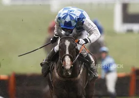 Horse Racing - Cheltenham Festival - Cheltenham Racecourse - 19/3/10 Berties Dream ridden by Andrew E Lynch wins the 2.40 The Albert Bartlett Novices' Hurdle