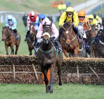 CHELTENHAM FESTIVAL 2009. 10/3/09. 1st day. THE SUPREME NOVICES HURDLE AT THE LAST WINNER GO NATIVE. PICTURE DAVID ASHDOWN