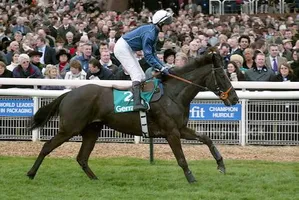 BACK IN FRONT RIDDEN BY N.WILLIAMSON CHELTENHAM RACECOURSE CHELTENHAM 11 March 2003