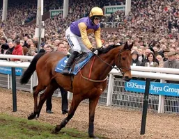 RACING Cheltenham. Brave Inca, ridden by Tony McCoy