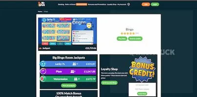 Mr Spin Online Bingo Ireland