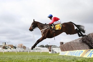 Allaho ridden by Rachael Blackmore jumps the last to win the Ryanair Chase during day three of the Cheltenham Festival at Cheltenham Racecourse. Picture date: Thursday March 18, 2021.