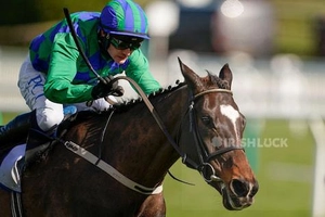 Paul Townend riding Appreciate It on the way to winning The Sky Bet Supreme Novices' Hurdle during day one of the Cheltenham Festival at Cheltenham Racecourse. Picture date: Tuesday March 16, 2021.
