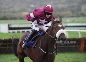 Tiger Roll, ridden by Bryan Cooper, before winning the Masterson Holdings Hurdle during day two of the 2014 Showcase meeting at Cheltenham Racecourse, Cheltenham.