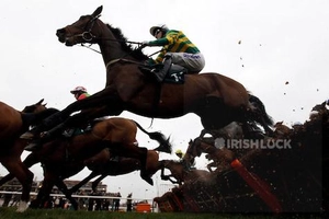Tony McCoy on Alderwood (C) jumps a fence during The Vincent O'Brien County Handicap Hurdle Race at the Cheltenham Festival horse racing meet in Gloucestershire, western England March 16, 2012