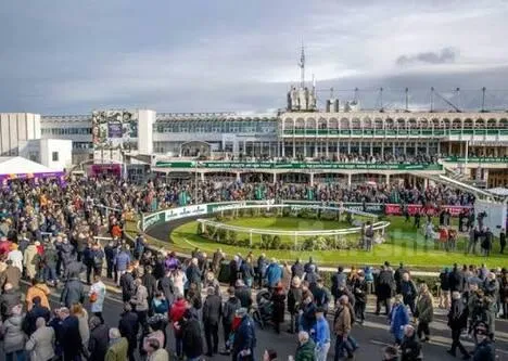 Leopardstown christmas festival in Ireland