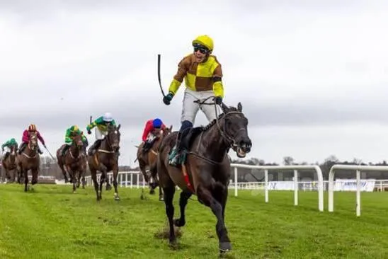 dublin racing festival