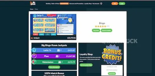 Mr Spin Online Bingo Ireland