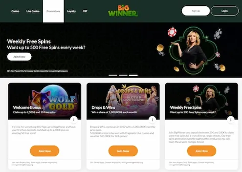 BigWinner Casino Bonuses