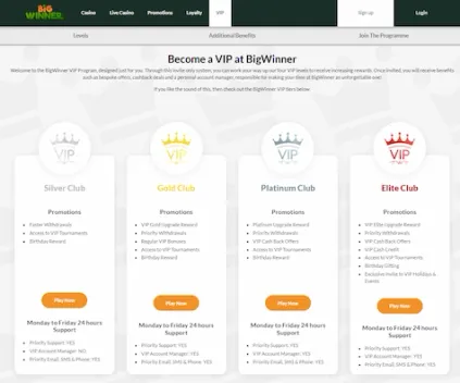 BigWinner Casino VIP Bonus