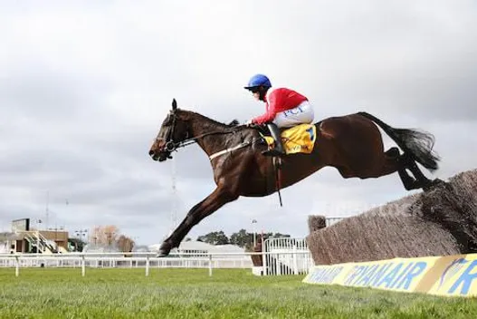 Allaho ridden by Rachael Blackmore jumps the last to win the Ryanair Chase during day three of the Cheltenham Festival at Cheltenham Racecourse. Picture date: Thursday March 18, 2021.