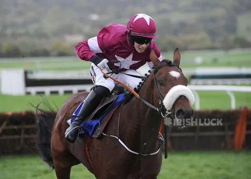 Tiger Roll, ridden by Bryan Cooper, before winning the Masterson Holdings Hurdle during day two of the 2014 Showcase meeting at Cheltenham Racecourse, Cheltenham.