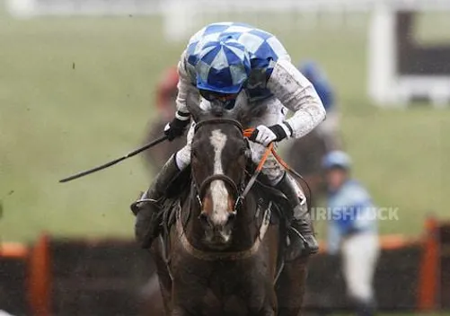 Horse Racing - Cheltenham Festival - Cheltenham Racecourse - 19/3/10 Berties Dream ridden by Andrew E Lynch wins the 2.40 The Albert Bartlett Novices' Hurdle