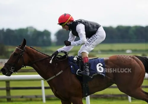 Chris Hayes celebrates on Homeless Songs as they win the Tattersalls Irish 1,000 Guineas (Group 1) during day three of the Tattersalls Irish Guineas Festival at Curragh racecourse in County Kildare, Ireland. Picture date: Sunday May 22, 2022