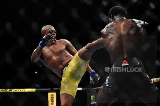 anderson silva jared cannonier