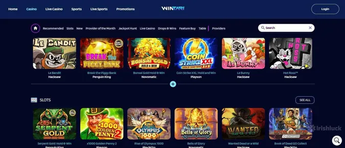 Collection of casino games at Wintari